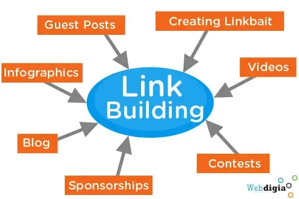 Cracking the SEO Code: The Importance of Link Building